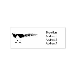 Lady amherst's pheasant bird cartoon illustration rubber stamp