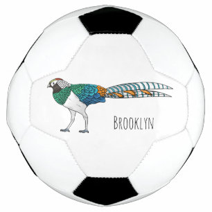 Lady amherst's pheasant bird cartoon illustration soccer ball