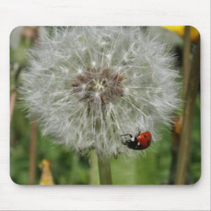 lady beetle - ladybird on dandelion mouse pad