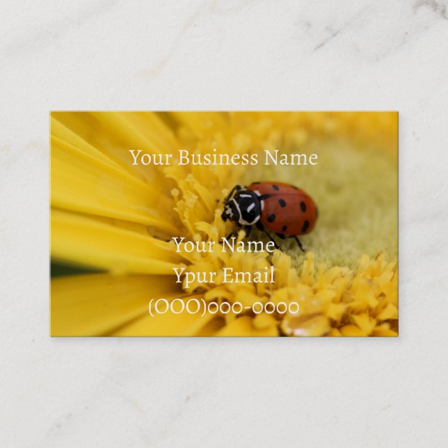 Lady bug business card (Front)