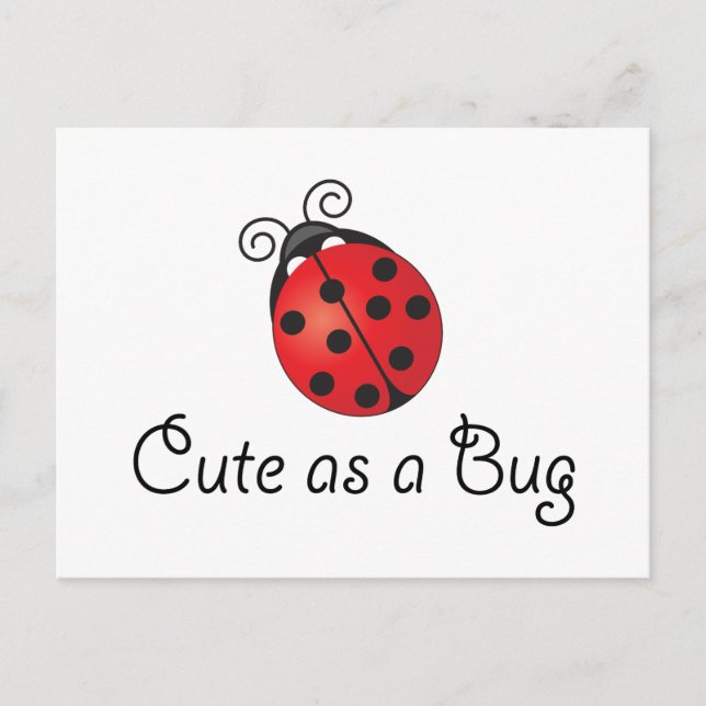 Lady Bug - Cute as a Bug Postcard (Front)