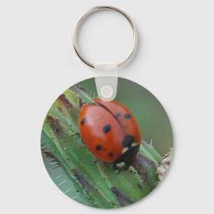 Lady Bug Key Ring
