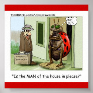 Lady Bug Meets Male Chauvinist Poster