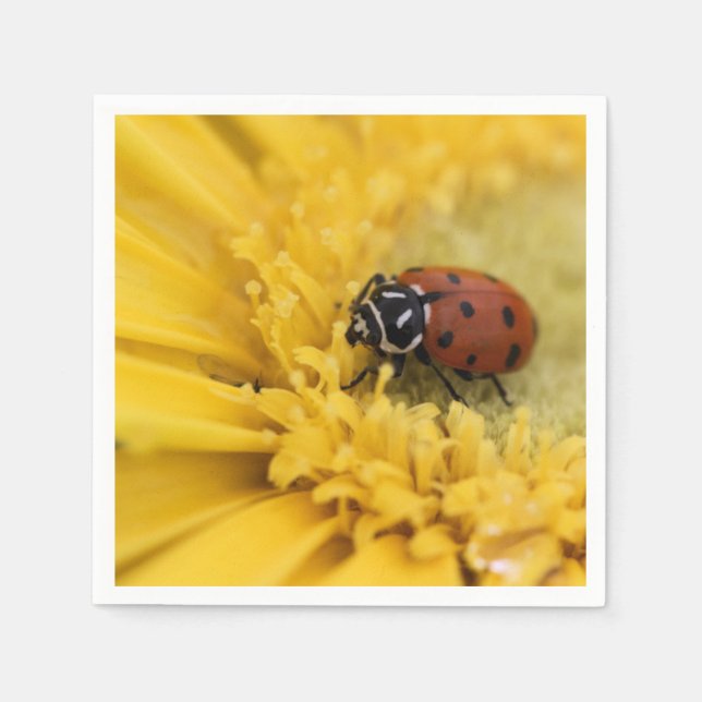 Lady bug napkin (Front)