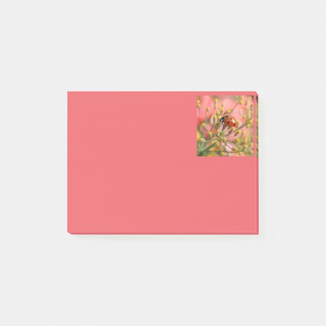 Lady Bug Notes (Front)