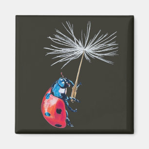 Lady bug on a dandelion seed magnet
