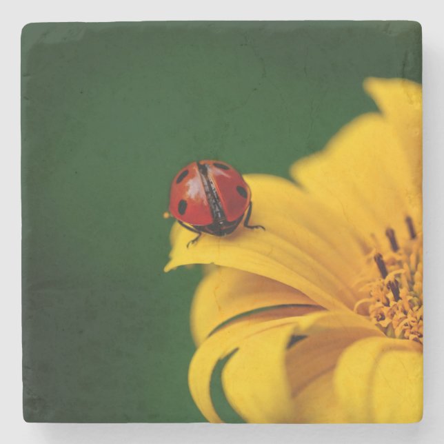 Lady Bug on a Yellow Flower Stone Coaster (Front)