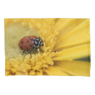 Lady bug pillowcase