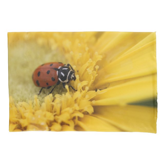Lady bug pillowcase (Front)