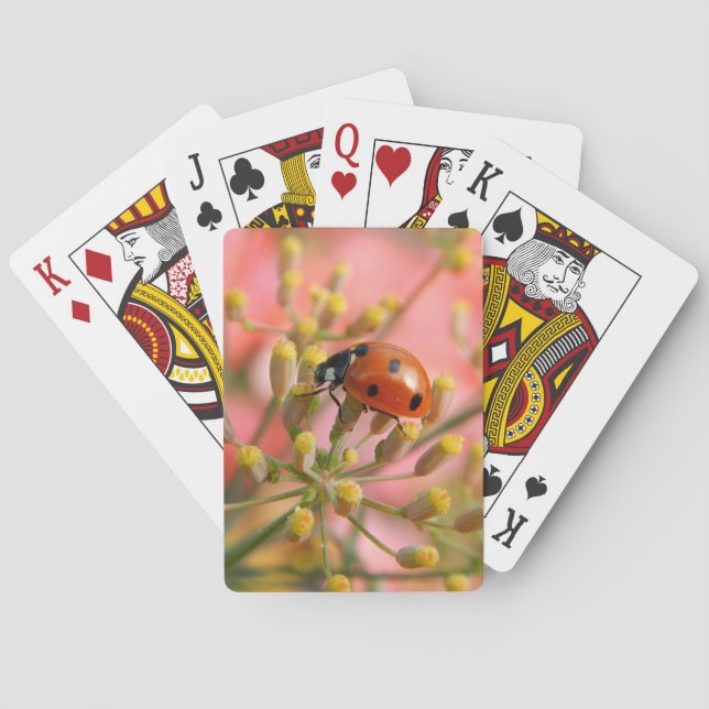 Lady Bug Playing Cards (Back)
