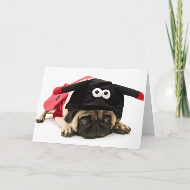 Lady Bug Pug Thank You Card (Front)