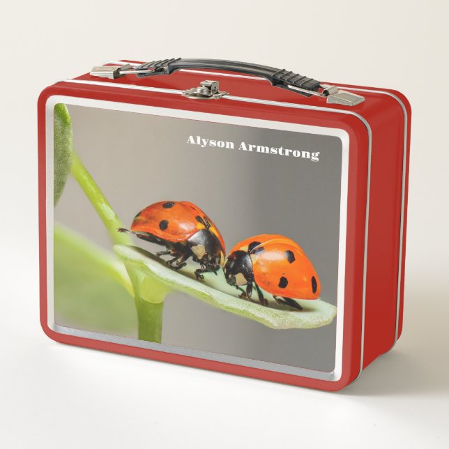Lady Bugs Metal Lunch Box (Front)