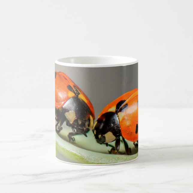 Lady Bugs White Coffee Mug (Center)