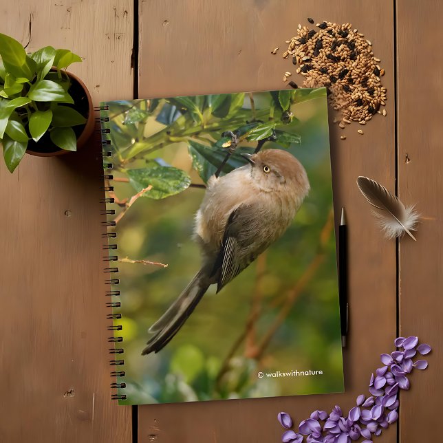 Lady Bushtit on the California Lilac Bush Notebook (Lady Bushtit on the California Lilac Journal Cover Photo)