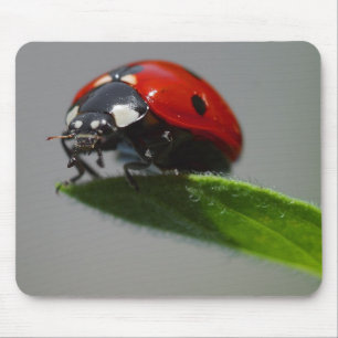 Lady But On Edge Of Leaf Mouse Pad