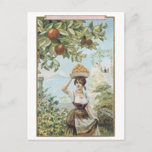 Lady Carrying Fruit Postcard
