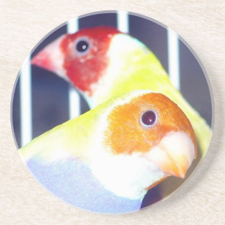 Lady Gouldian Finch Coaster