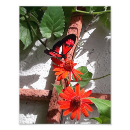 Lady in Red Limited Edition Photo Print