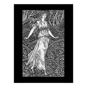 lady in the Woods Poster