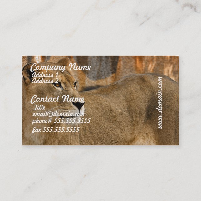 Lady Lioness Business Cards (Front)