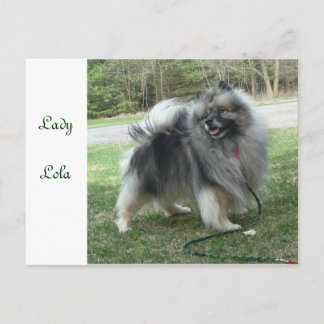 Lady Lola Postcard