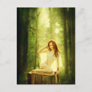 Lady of the Enchanted Forest Postcard