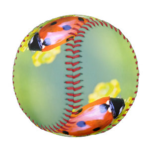 lady on top baseball
