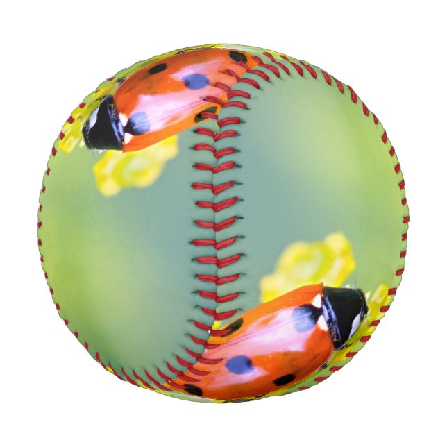 lady on top baseball (Angled)