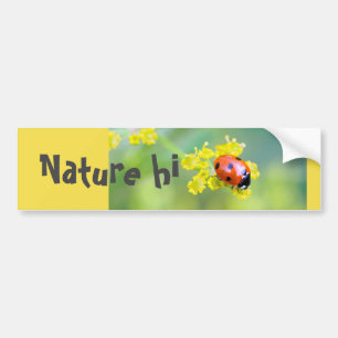 lady on top bumper sticker