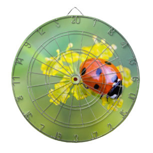 lady on top dartboard