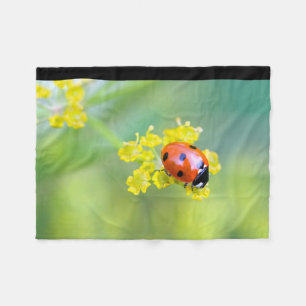 lady on top fleece blanket