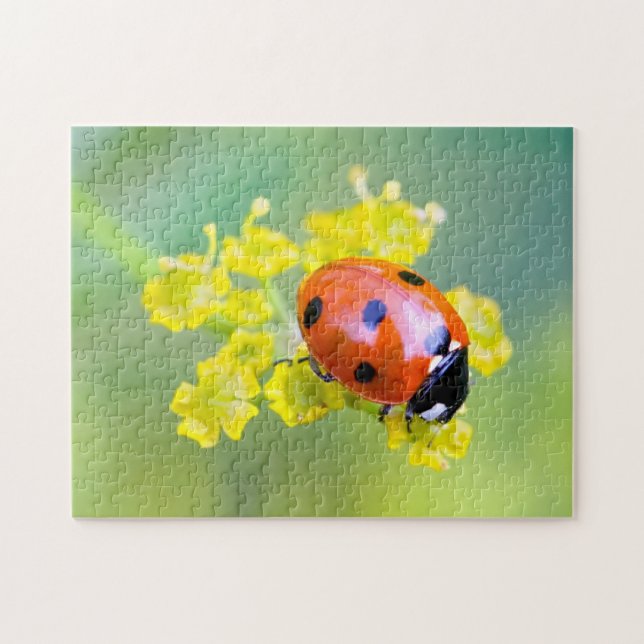 lady on top jigsaw puzzle (Horizontal)