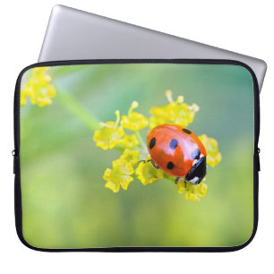 lady on top laptop sleeve