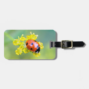 lady on top luggage tag