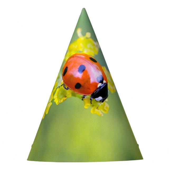 lady on top party hat (Front)