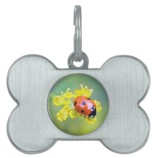 lady on top pet ID tag (Front)