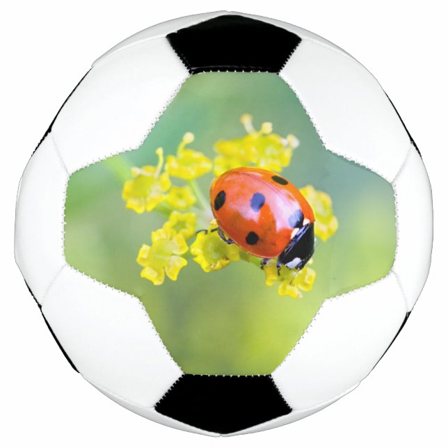 lady on top soccer ball (Front)