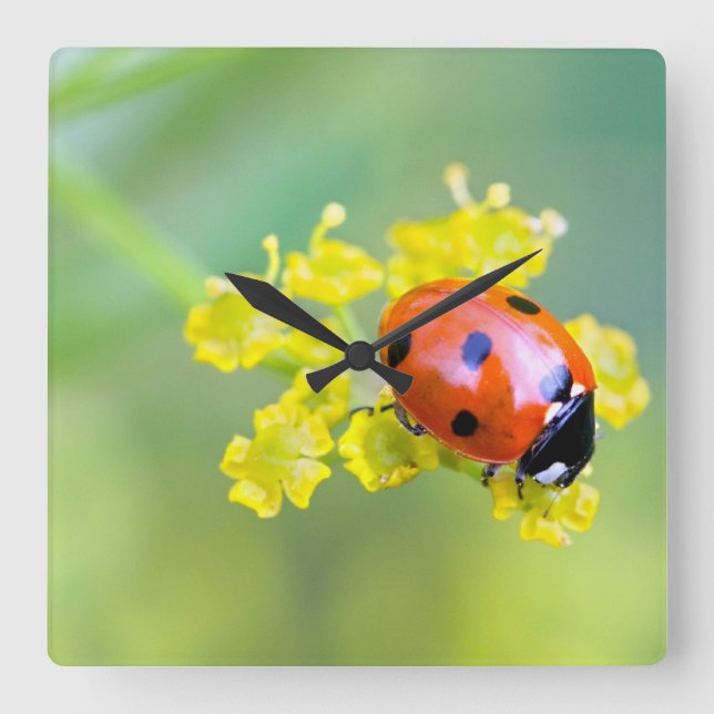 lady on top square wall clock (Front)