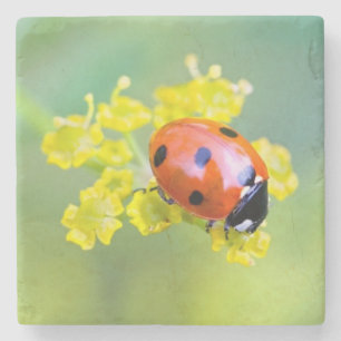 lady on top stone coaster