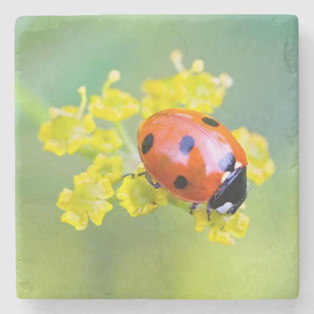 lady on top stone coaster (Front)