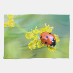 lady on top tea towel