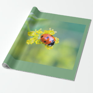 lady on top wrapping paper