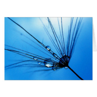 Lady Sings The Blues Card