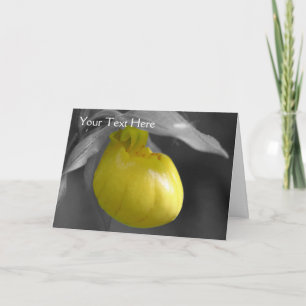 Lady Slipper Flower Partial Colour Photo Card