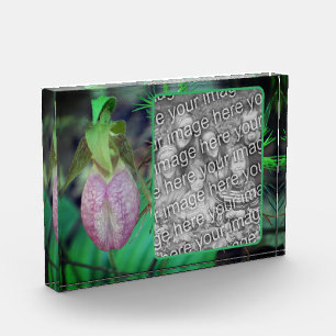 Lady Slipper Orchid Create Your Own Photo Block