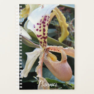 Lady Slipper Orchid Floral Calendar   Planner