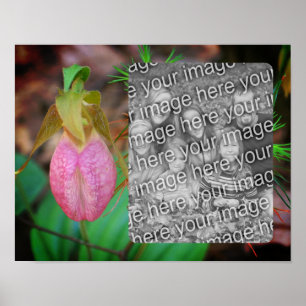 Lady Slipper Orchid Frame Add Your Photo Poster