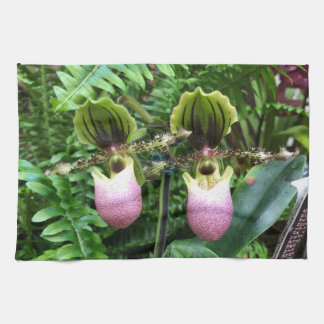 Lady Slipper Orchids Kitchen Towel