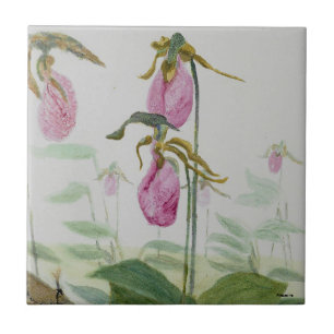 Lady Slipper Trivit Ceramic Tile