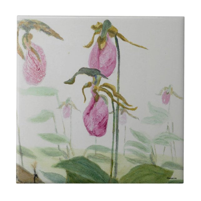 Lady Slipper Trivit Ceramic Tile (Front)